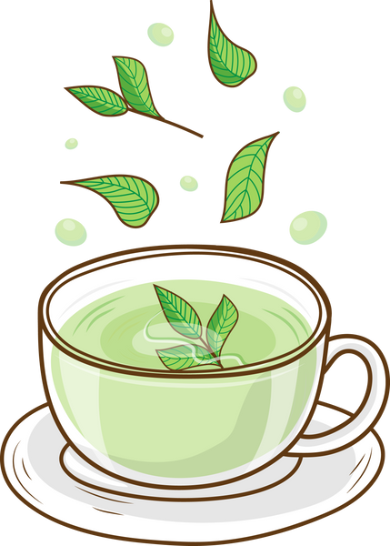 green tea drink and tea leaf