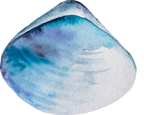 Hand Drawn Watercolor Blue Clam Seashell Illustration